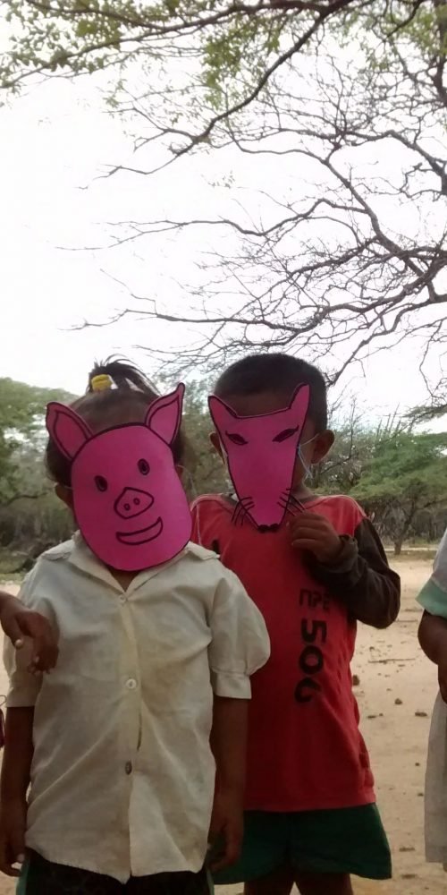 Perspectivas y estrategias