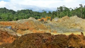 Minería del oro Minería de oro